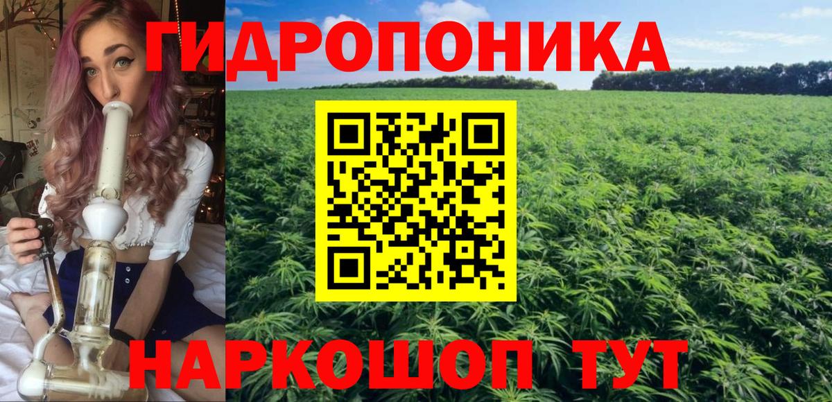 МАРИХУАНА THC 21%  Вход с VPN  Воркута  МАРИХУАНА White Widow  Конопля OG Kush 